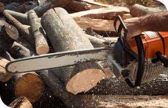 lumberjack-cutting-wood-with-chainsaw