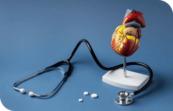 view-anatomic-heart-model-educational